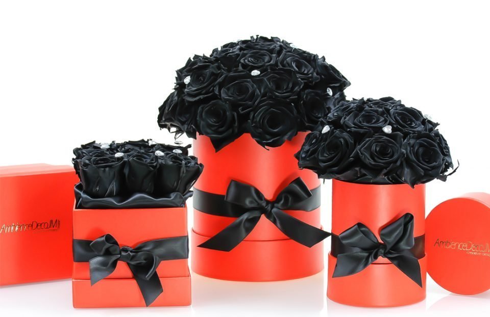 Boxed-Infinity-Black-Roses