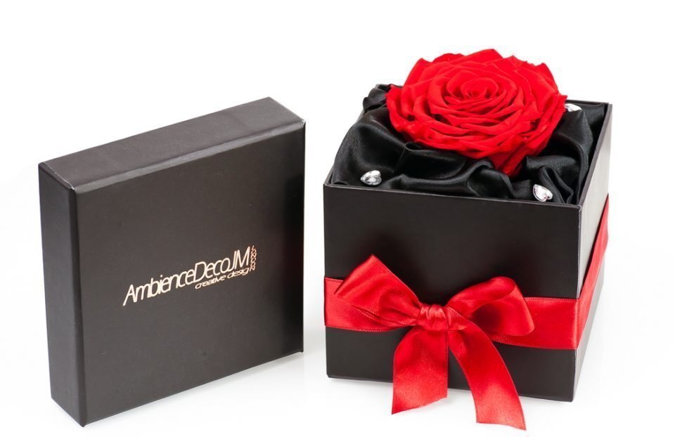 Single-Infinity-Red-Rose-in-a-box