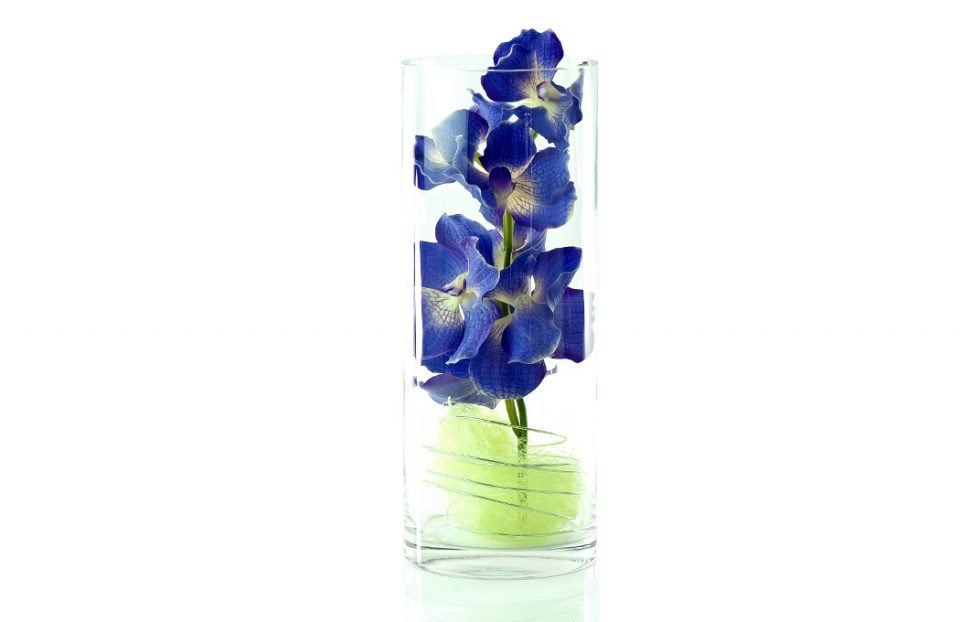 Luxury vanda orchid in clear cylinder