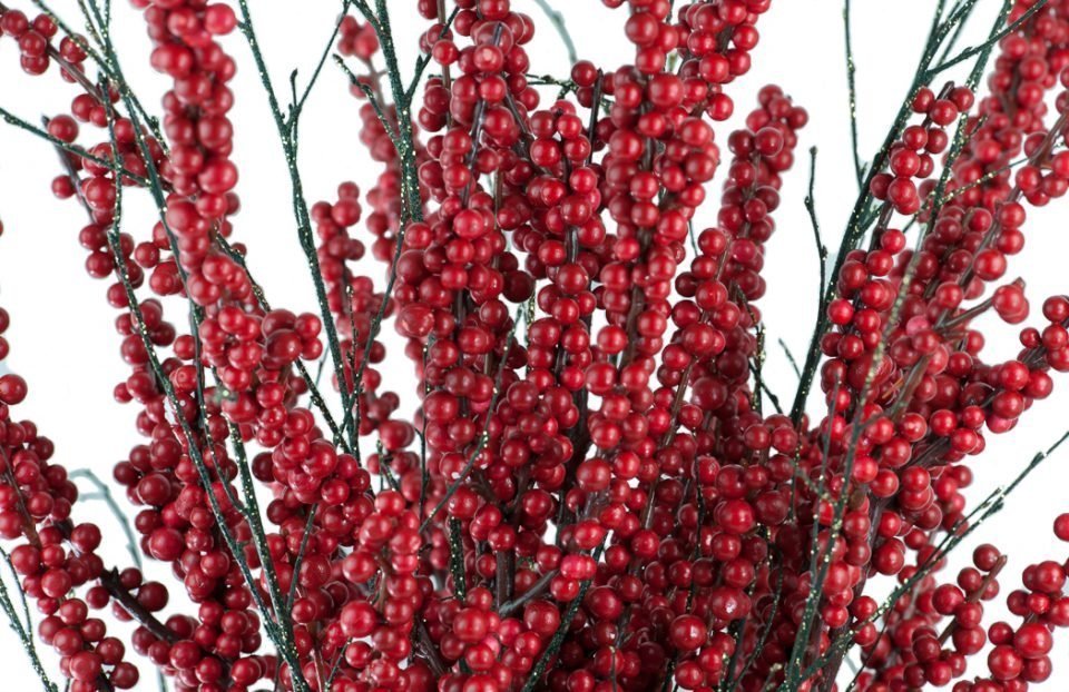 Red-ilex-berries-Christmas-centerpiece