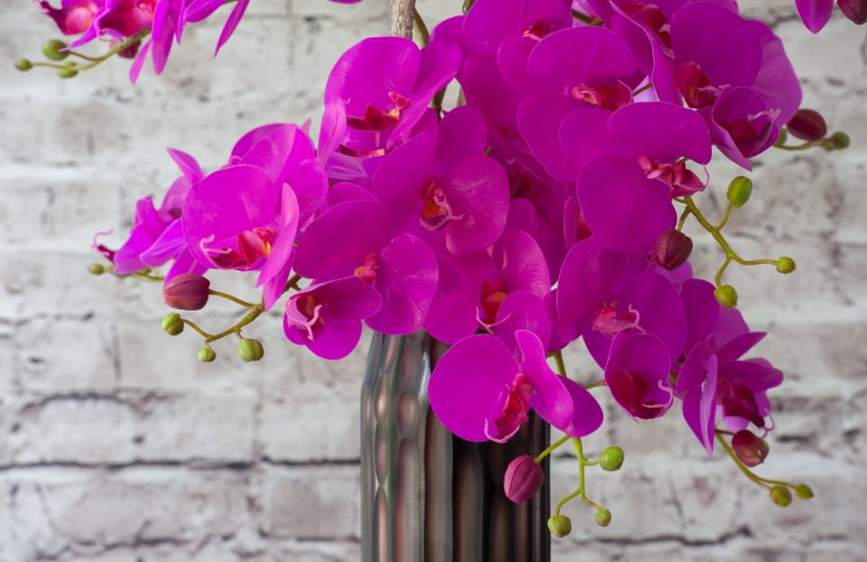 Hot pink artificial orchids