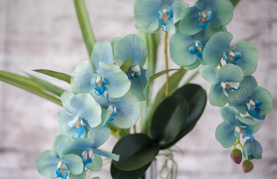 Tiffany blue faux orchids
