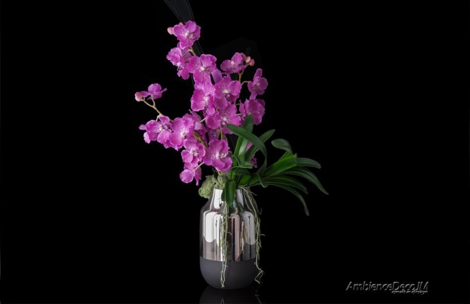 Artificial vanda orchids display