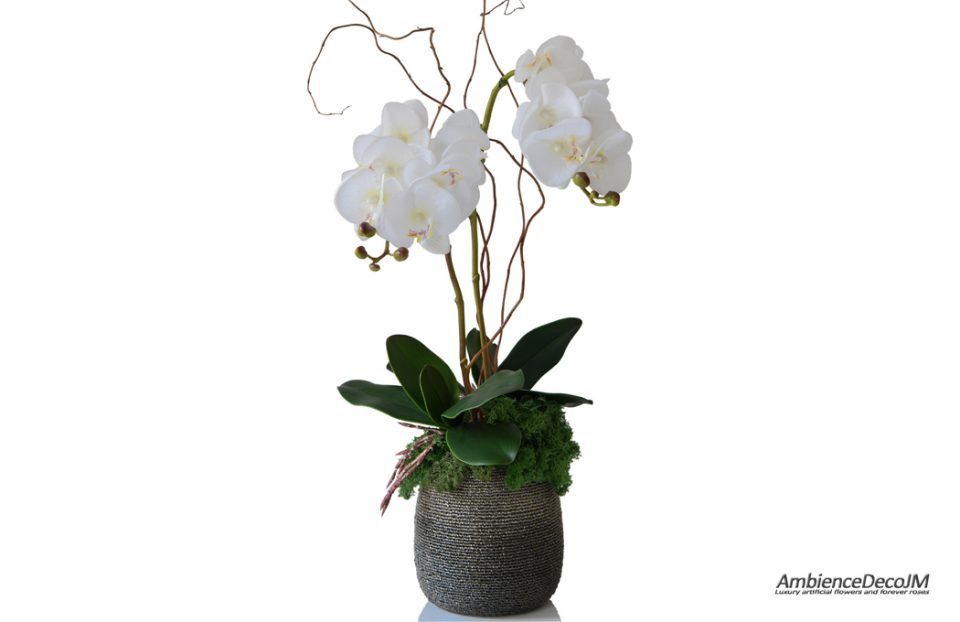 Real touch orchids in beaded pot