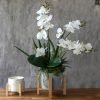 Lifelike orchids with succulents